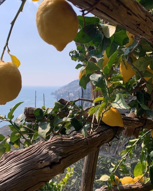 maiori-easy-private-hiking-trail-path-of-lemons