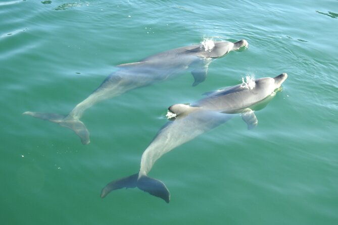 Mandurah Sunset Cruise - Key Points