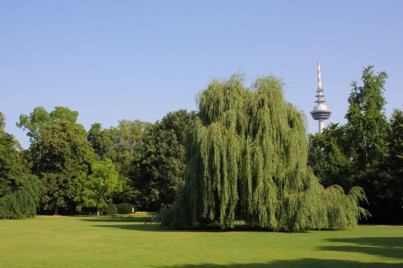 mannheim-guided-park-tour-luisenpark