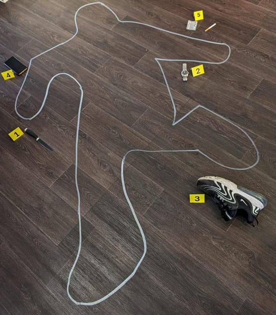 mannheim-guided-walking-tour-crime-scene-mannheim