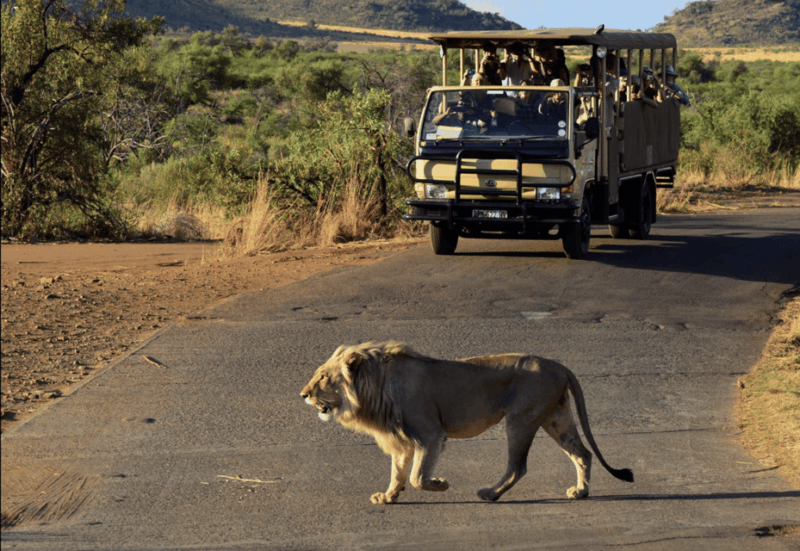 manyane-6hgame-drive-with-lunch
