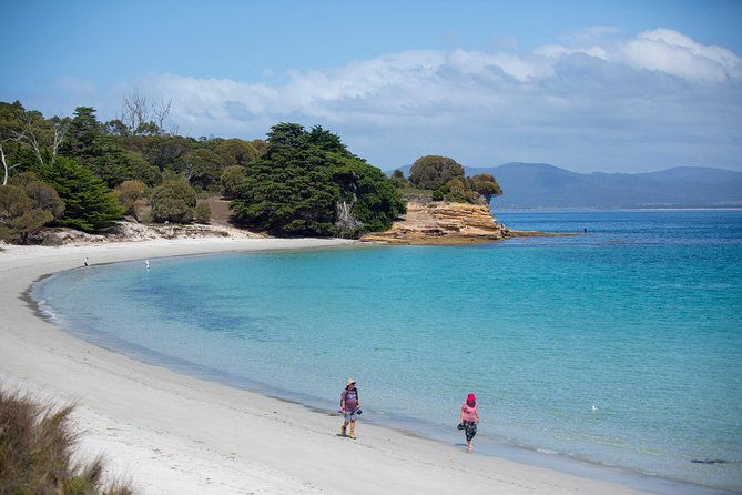 Maria Island Active Day Tour from Hobart - Introduction