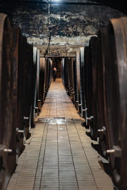 maribor-vinag-wine-cellar-tour-with-wine-tasting-and-snacks