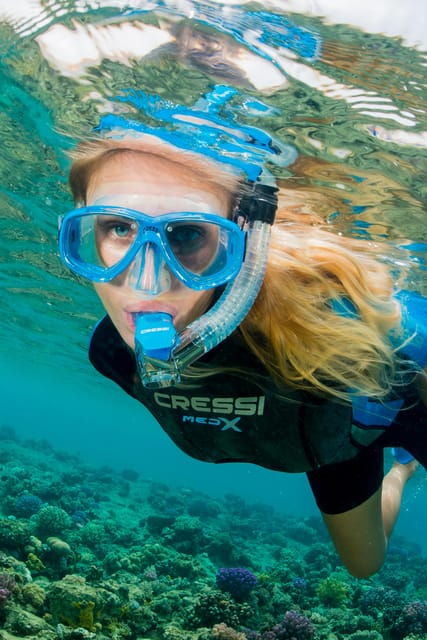 marina-baie-des-anges-boat-trip-to-the-pelagos-sanctuary
