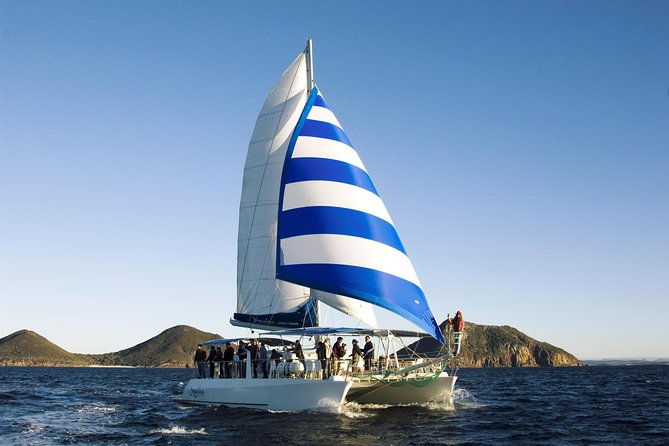 Marine Discovery + Snorkeling Cruise - Port Stephens - Marine Discovery + Snorkeling Cruise - Port Stephens: An In-Depth Review