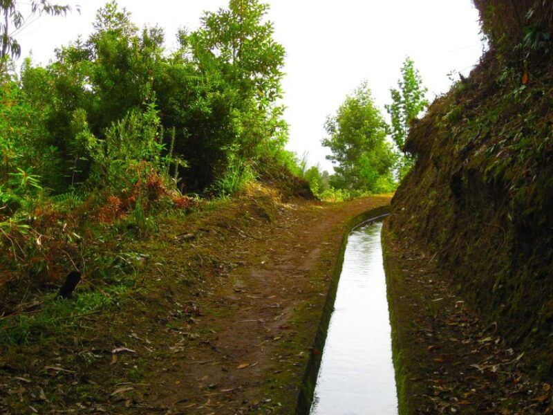 marocos-mimosa-valley-levada-walk