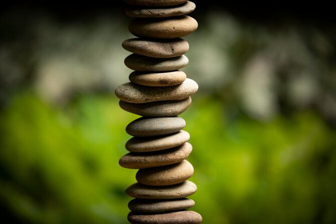 Matakana Art & Vineyard Experience incl. Lunch & Wine Tasting Tour From Auckland - Key Points