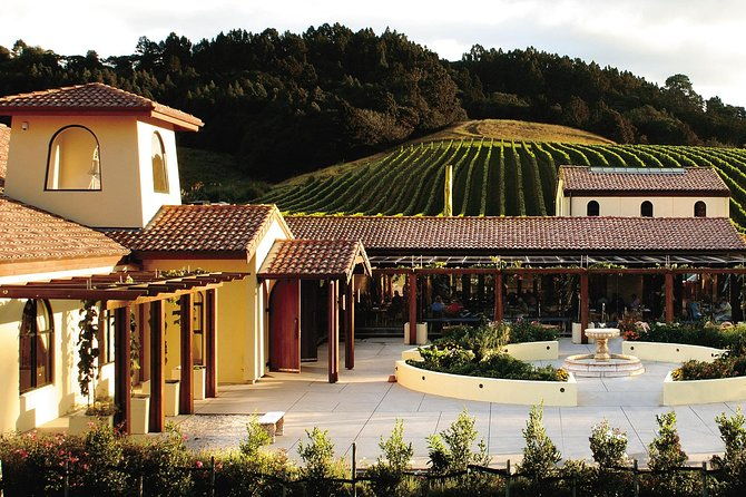 Matakana Riverside Market, Beaches and Winery Tour from Auckland - Exploring the Charm of Matakana and Beyond