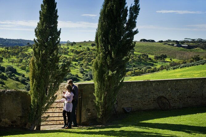 McLaren Vale Wine-Lover - Luxury Full Day Private Tour - Key Points