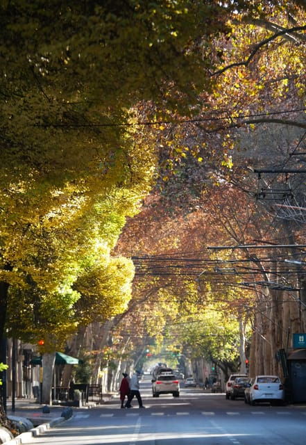 mendoza-2