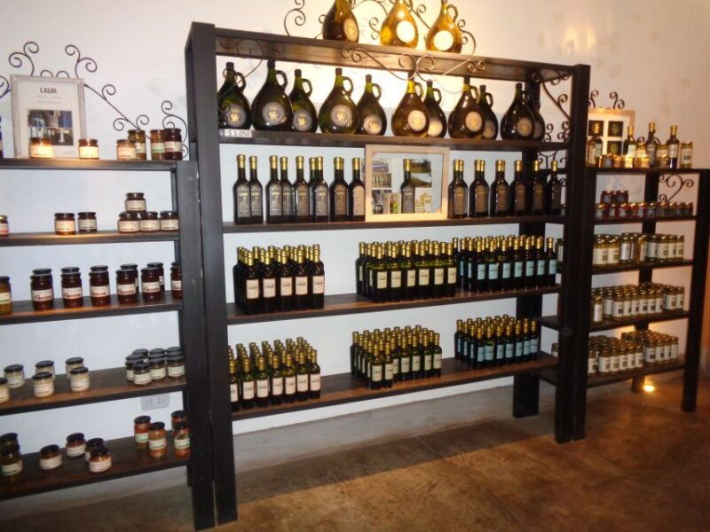 mendoza-half-day-wine-tour-with-tastings