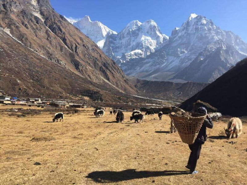 mera-peak-trek