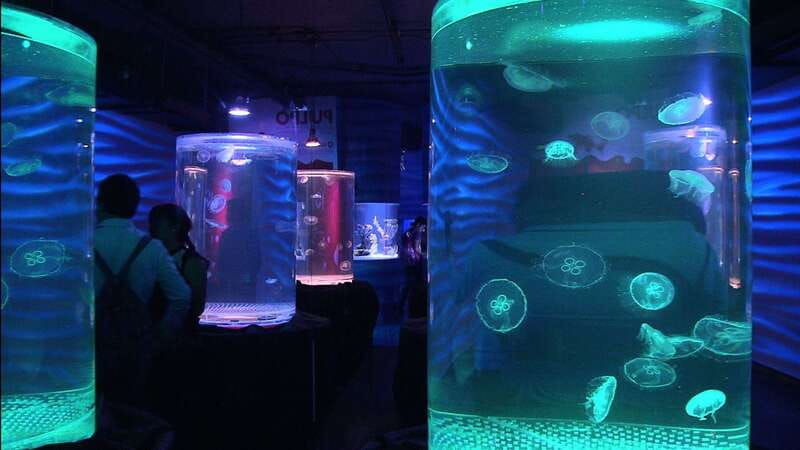 mexico-city-inbursa-aquarium-tour-with-transportation