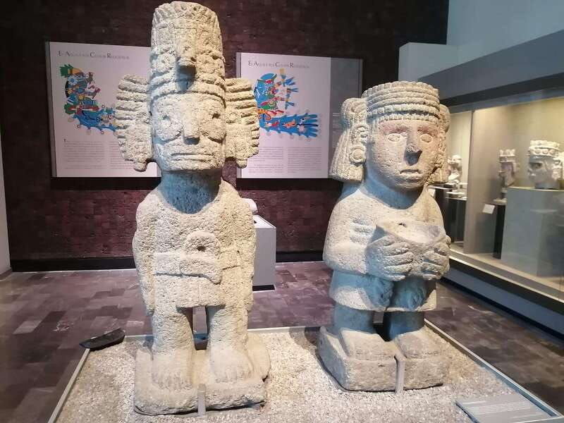 mexico-city-museum-of-anthropology-forest-and-pre-hispanic-food