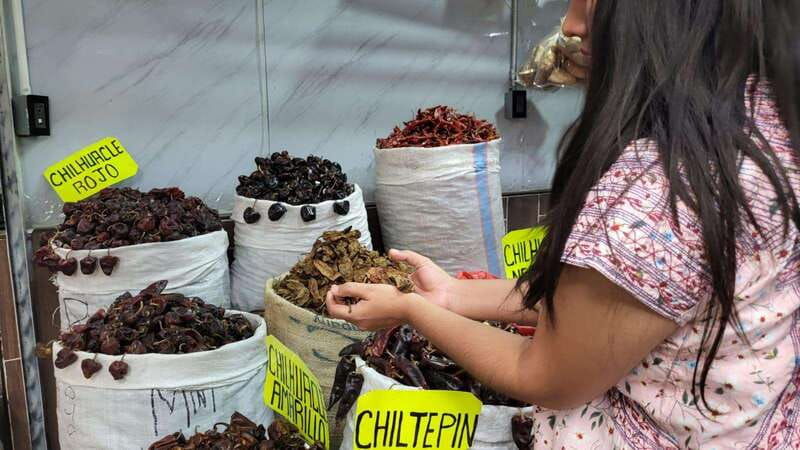 mexico-salsa-making-class-in-a-market-with-a-chef