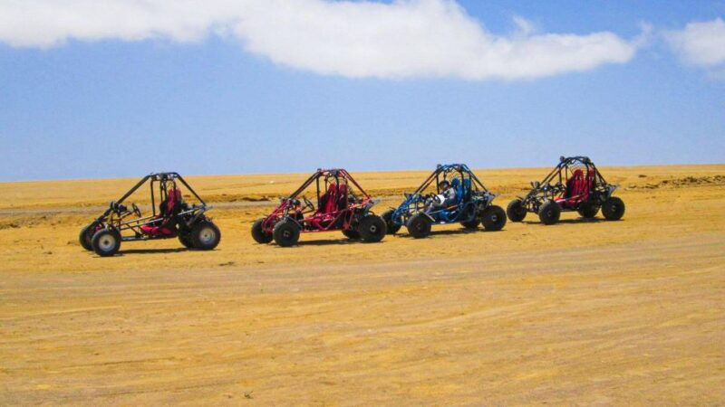 minibuggy-adventure-and-visit-to-the-paracas-reserve