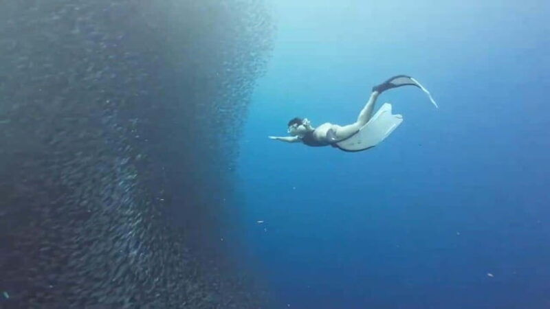 moalboal-pescador-island-mantayupan-falls-adventure
