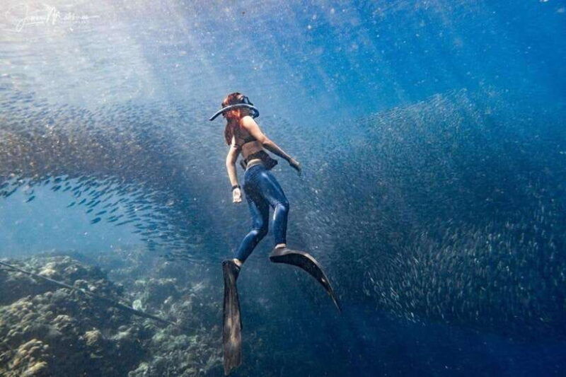 moalboal-scuba-diving-and-pescador-island-hopping