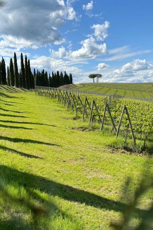 montalcinoprivat-e-bike-experience-discovering-orcia-valley