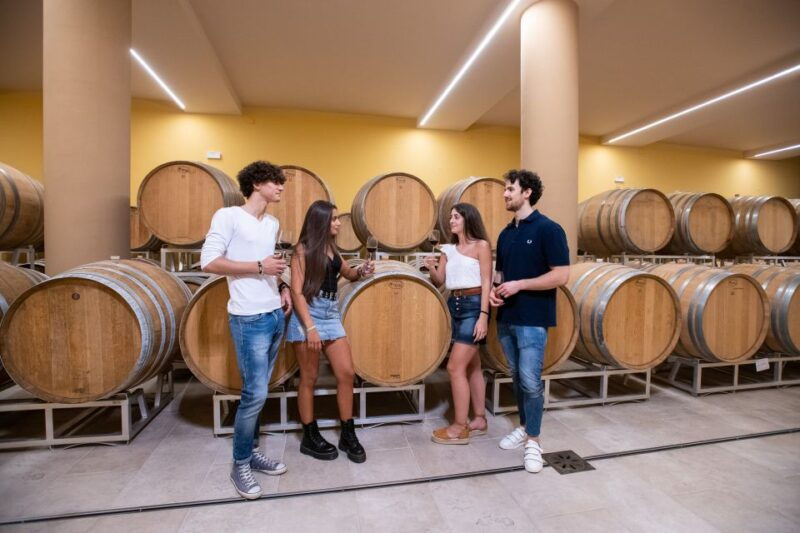montepulciano-guided-wine-tasting-tour-with-lunch