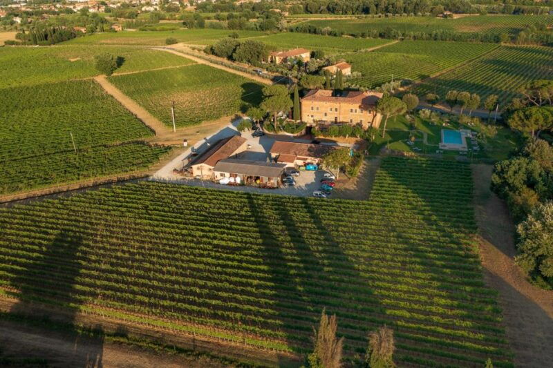 montepulciano-guided-winery-tour-with-tasting-appetizers