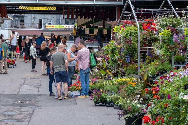 montreal-jean-talon-market-little-italy-highlights-tour