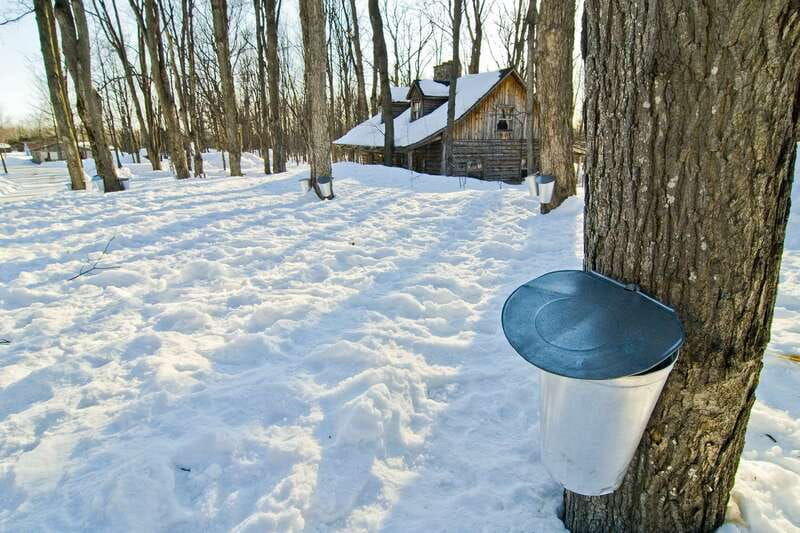 montreal-sugar-shack-maple-syrup-day-trip-with-lunch