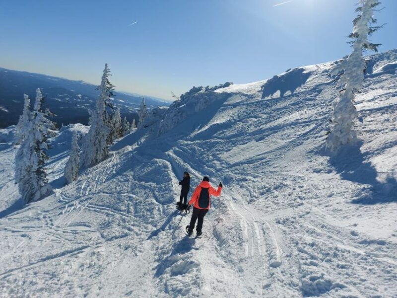 mount-arber-snowshoeing-in-the-bavarian-forest-guided-tour