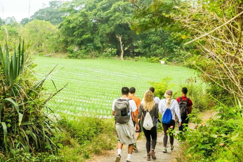 mount-batur-2d1n-kintamani-tour-with-private-sunrise-hiking
