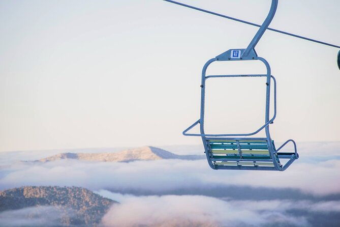 Mount Buller 1 Day Guided Tour - Exploring the Mount Buller 1-Day Guided Tour: A Complete Guide