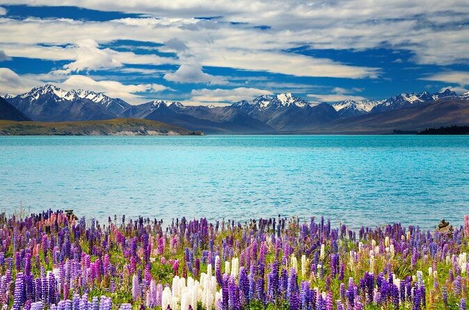 Mount Cook Lake Tekapo & Tasman Glacier Private Tour - Exploring the Mount Cook, Lake Tekapo & Tasman Glacier Private Tour