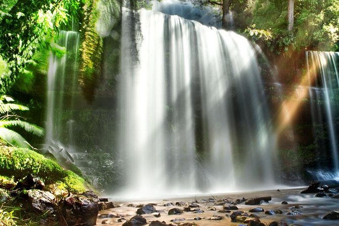 Mount Field Day Tour Private Charter Service - The Itinerary Breakdown: What You’ll Experience