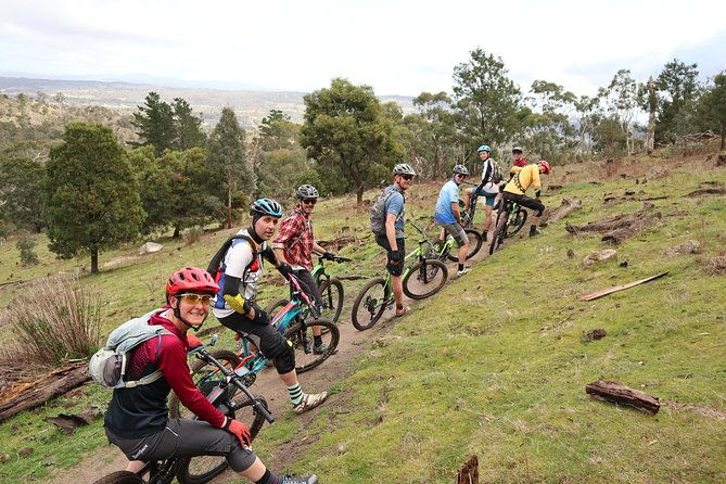 Mountain Bike Day Tour, 2 locations, 4 hrs riding, Holgate's Brewery lunch - Key Points
