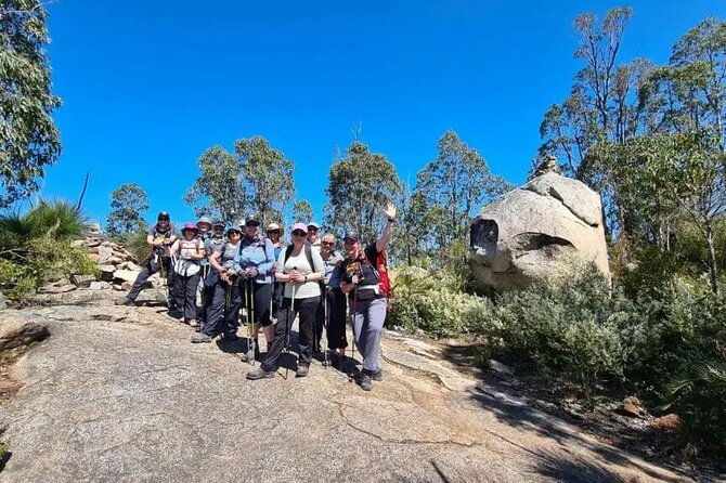 Mt. Cooke Half Day Hiking Experience - Introduction