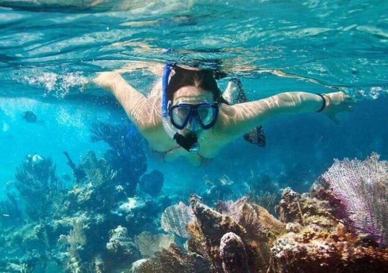 mui-ne-hidden-waterfall-vinh-hy-bay-snorkeling-adventure