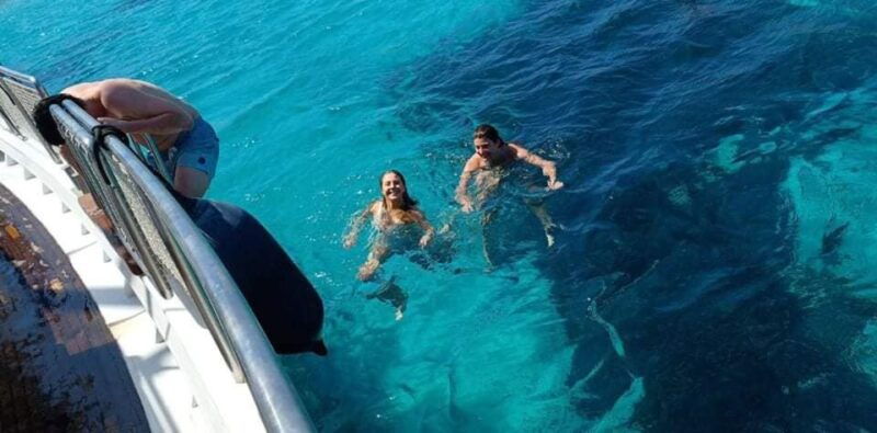 mykonos-little-venice-and-agios-stefanos-cruise-with-lunch