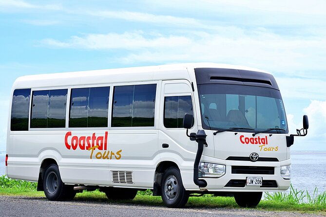 Natadola Beach Half Day Tour - Introduction: A Relaxed Day at Natadola Beach