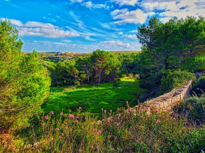 nature-highlights-private-walking-tour-with-transport