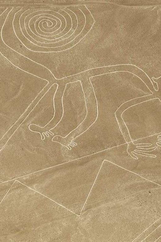 nazca-lines-overflight-tour-departure-from-ica