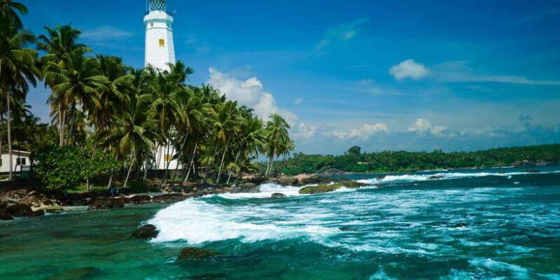 negombo-turtle-hatchery-river-safari-moon-stone-galle