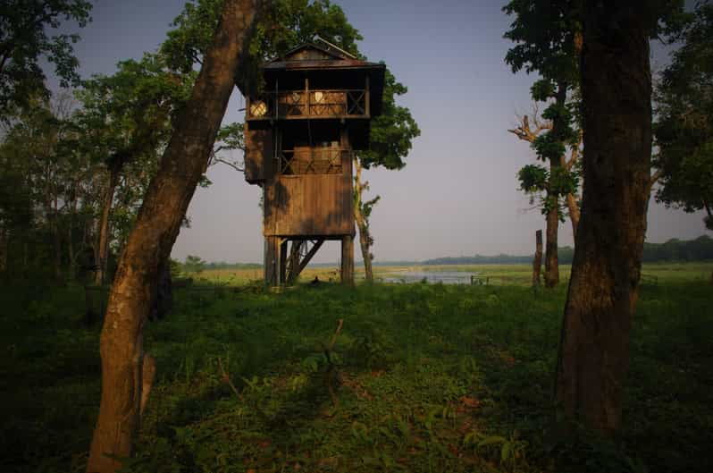 nepal-chitwan-national-park-3-day-jungle-tower-stay