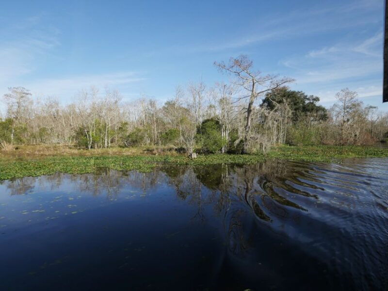 new-orleans-airboat-or-pontoon-boat-cruise-with-transfers
