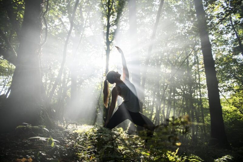 newquay-surf-yoga-woodland-wild-camp