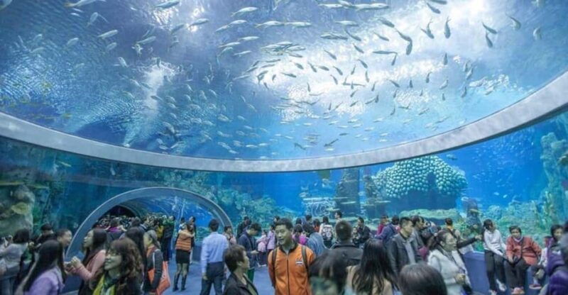 nha-trang-explore-nha-trang-city-in-a-half-day-tour