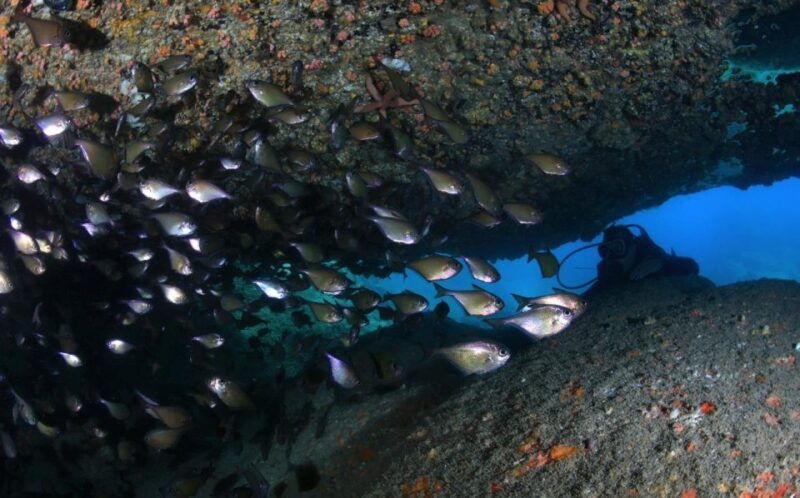 nha-trang-scuba-diving-experience-for-non-certified-divers