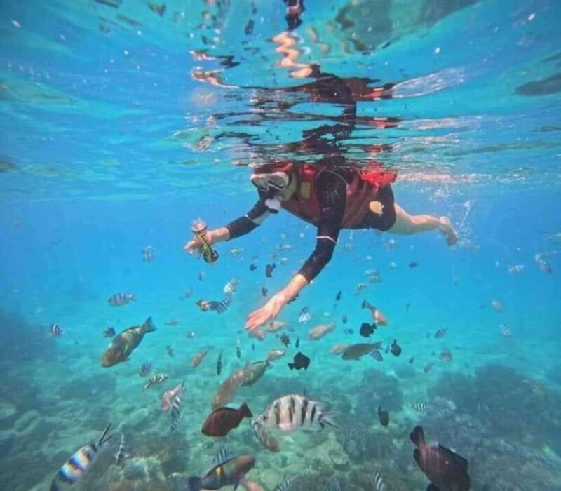nha-trang-snorkeling-at-marine-park-and-enjoying-lunch