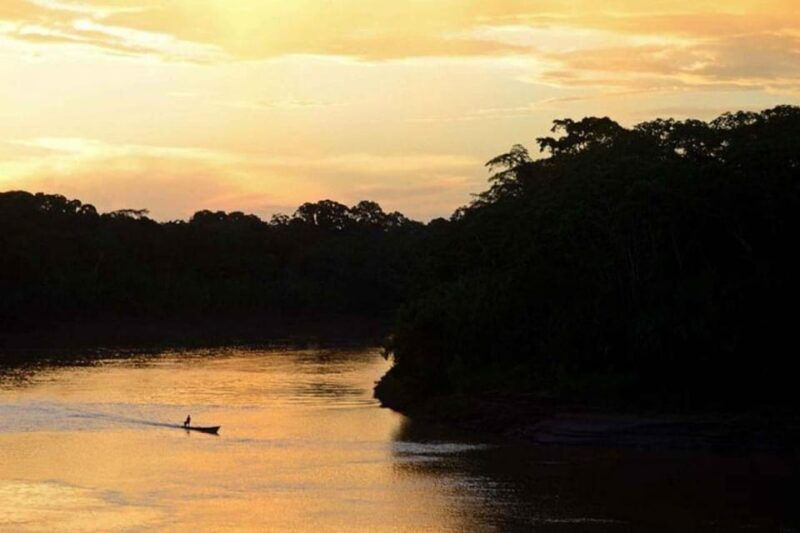 night-excursion-search-for-alligators-tambopata-river