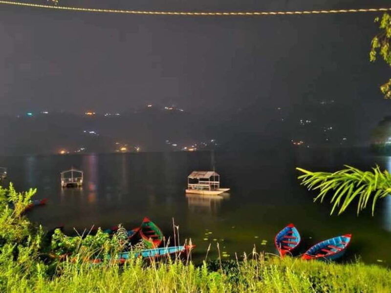 night-light-guided-tour