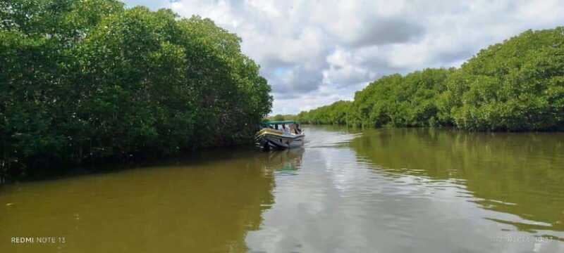 nilaveli-lagoon-boat-safari-with-mangrove-exploration