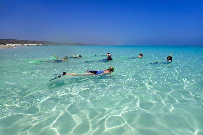 Ningaloo Reef Snorkel Adventure - Key Points